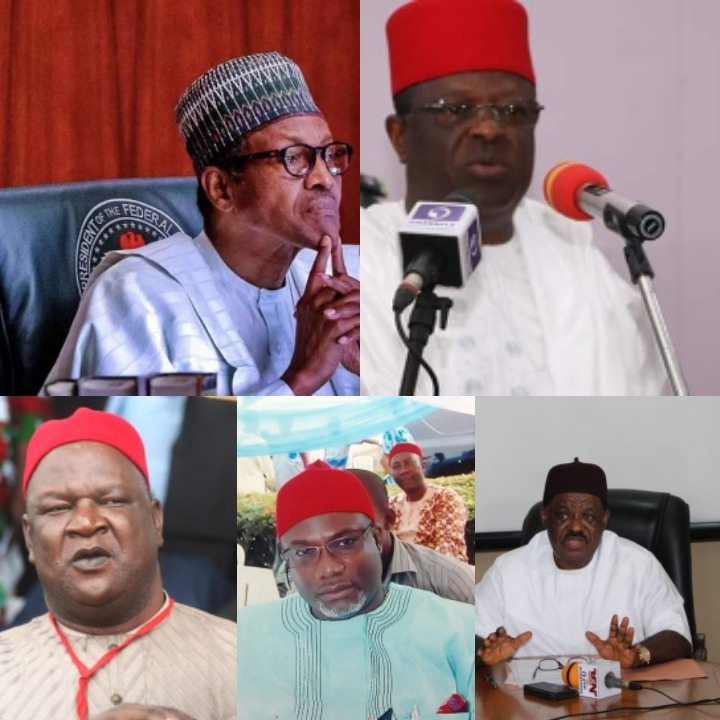 photogrid plus 1606822974911