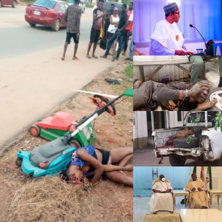 photogrid plus 1607151794896 1