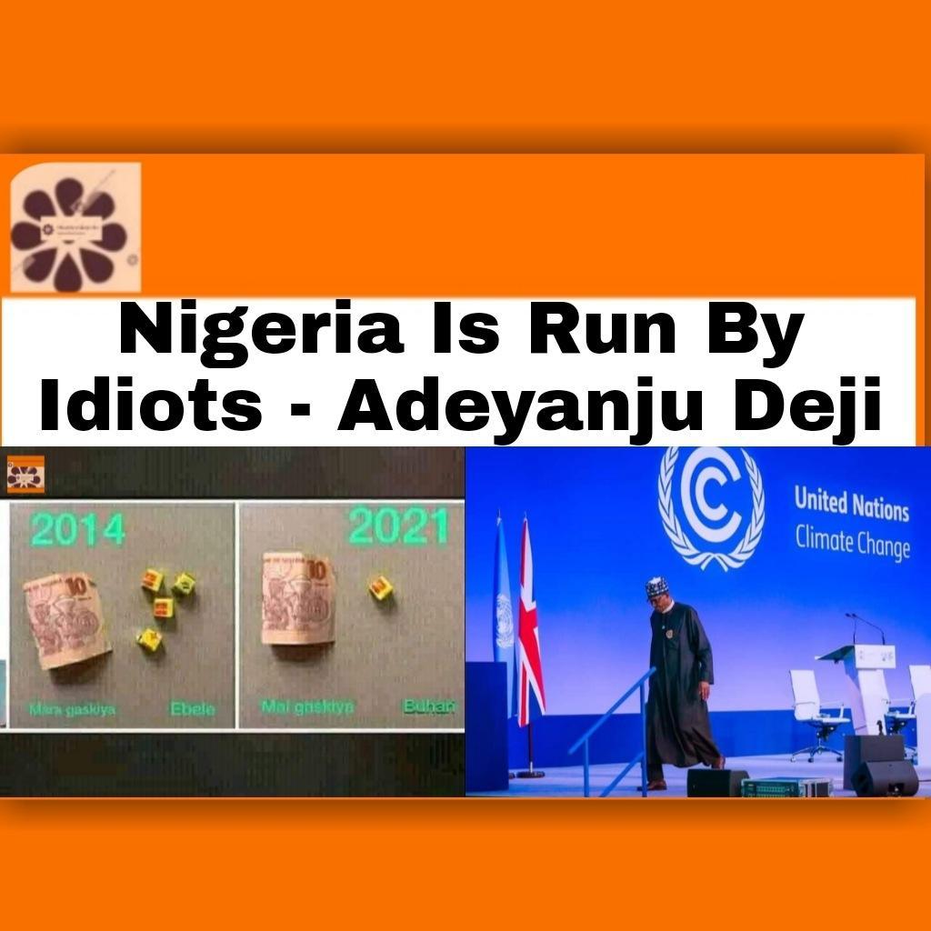 Nigeria Is Run By Idiots - Adeyanju Deji ~ OsazuwaAkonedo #Nigeria