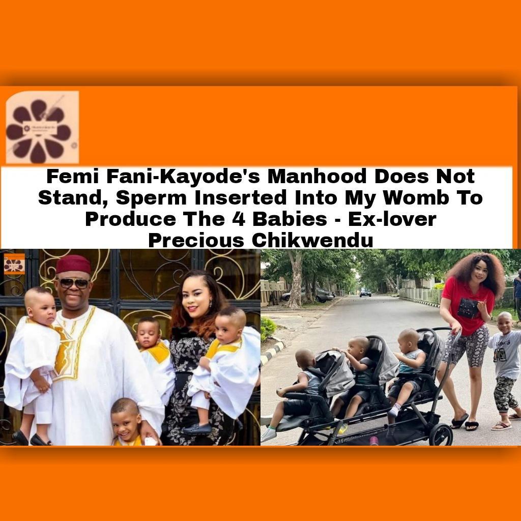 Femi Fani-Kayode's Manhood Does Not Stand, Sperm Inserted Into My Womb To Produce The 4 Babies - Ex-lover Precious Chikwendu ~ OsazuwaAkonedo #OsazuwaAkonedo R Kelly Faces New Prison Sentences Wednesday,R Kelly