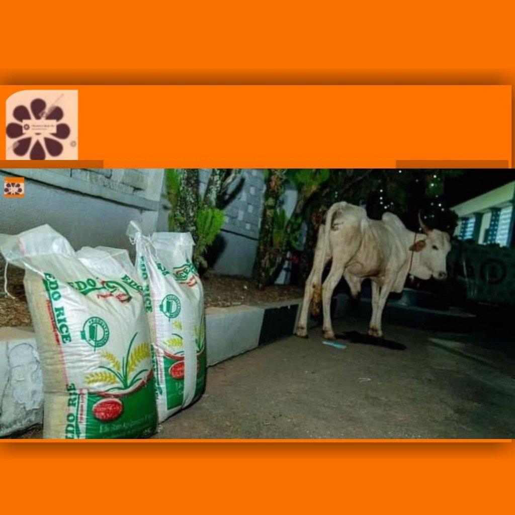 Governor Obaseki Gifts Tony Kabaka Cow, Bags Of Rice For Christmas