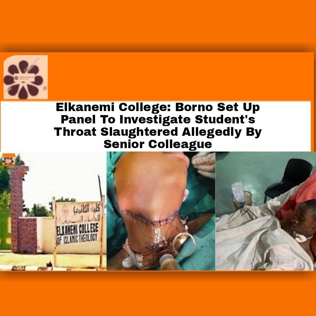 Elkanemi College: Borno Set Up Panel To Investigate Student's Throat Slaughtered Allegedly By Senior Colleague