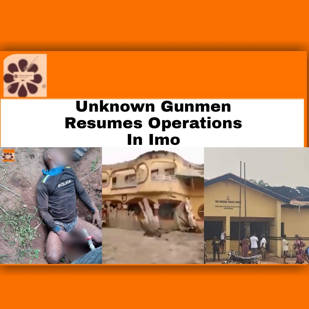 Unknown Gunmen Resumes Operations In Imo ~ OsazuwaAkonedo ###HopeUzodimma #ImoState #OsazuwaAkonedo #UnknownGunmen