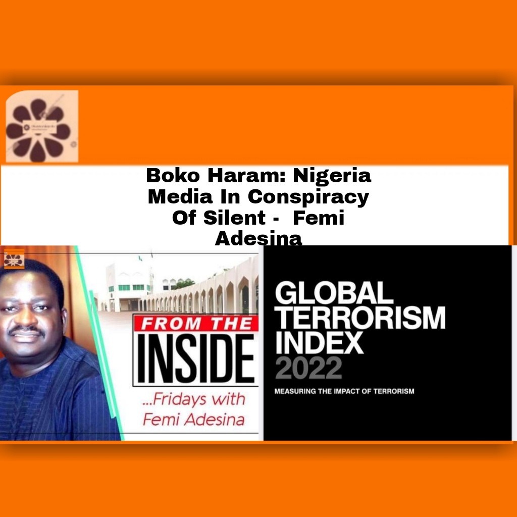 Boko Haram.Nigeria Media In Conspiracy Of Silent –  Femi Adesina