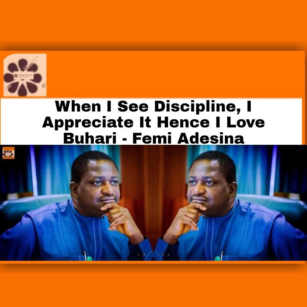 When I See Discipline, I Appreciate It Hence I Love Buhari – Femi Adesina