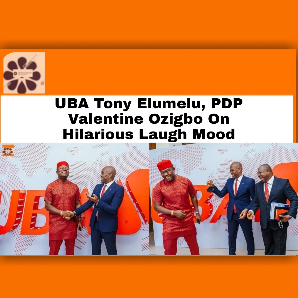 UBA Tony Elumelu, PDP Valentine Ozigbo On Hilarious Laugh Mood ~ OsazuwaAkonedo #PDP