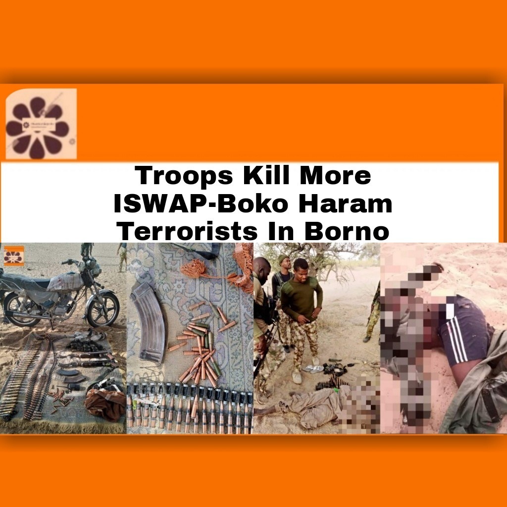 Troops Kill More ISWAP-Boko Haram Terrorists In Borno