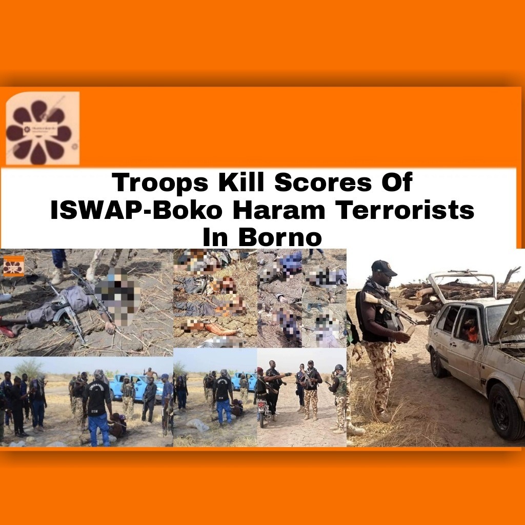 Troops Kill Scores Of ISWAP-Boko Haram Terrorists In Borno