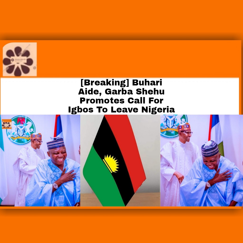 [Breaking] Buhari Aide, Garba Shehu Promotes Call For Igbos To Leave Nigeria ~ OsazuwaAkonedo #GarbaShehu #Biafra #Buhari #Deborah #igbos #ipob #Islamic #media #Mohammed #Nigeria #NnamdiKanu #OsazuwaAkonedo #President #Southeast #UnknownGunmen