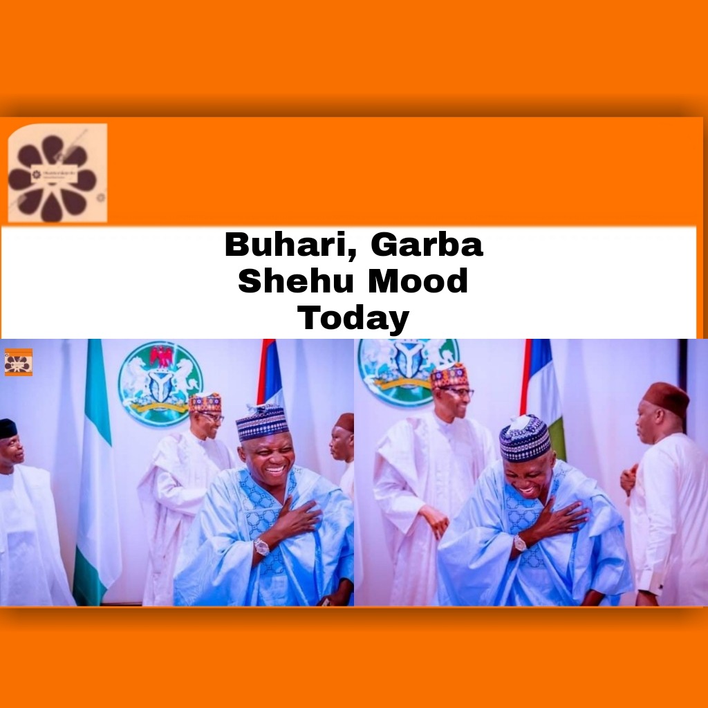 Buhari, Garba Shehu Mood Today ~ OsazuwaAkonedo ##GarbaShehu #A.MLinus #Buhari #media #President #Sallah #UnknownGunmen