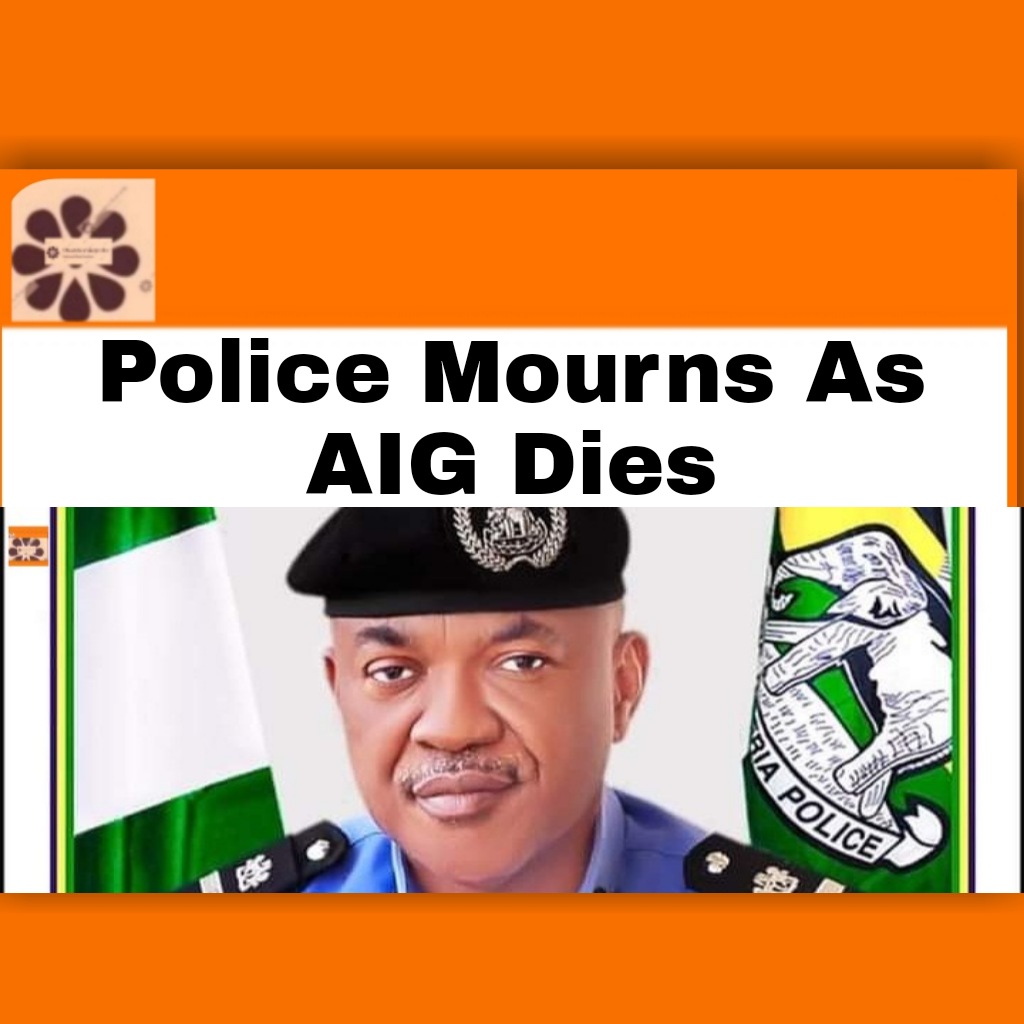 Police Mourns As AIG Dies ~ OsazuwaAkonedo #Benue #death, #development #Igp #Nigeria #NigeriaPoliceForce #OsazuwaAkonedo #Police #UsmanBaba