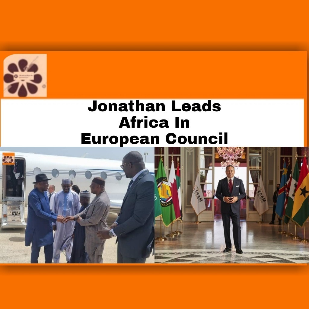 Jonathan Leads Africa In European Council