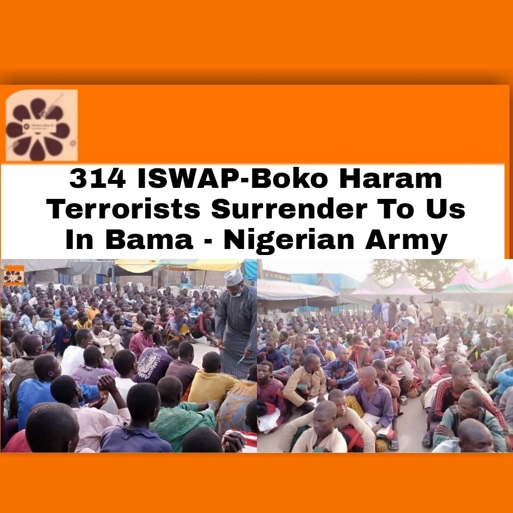 314 ISWAP-Boko Haram Terrorists Surrender To Us In Bama – Nigerian Army