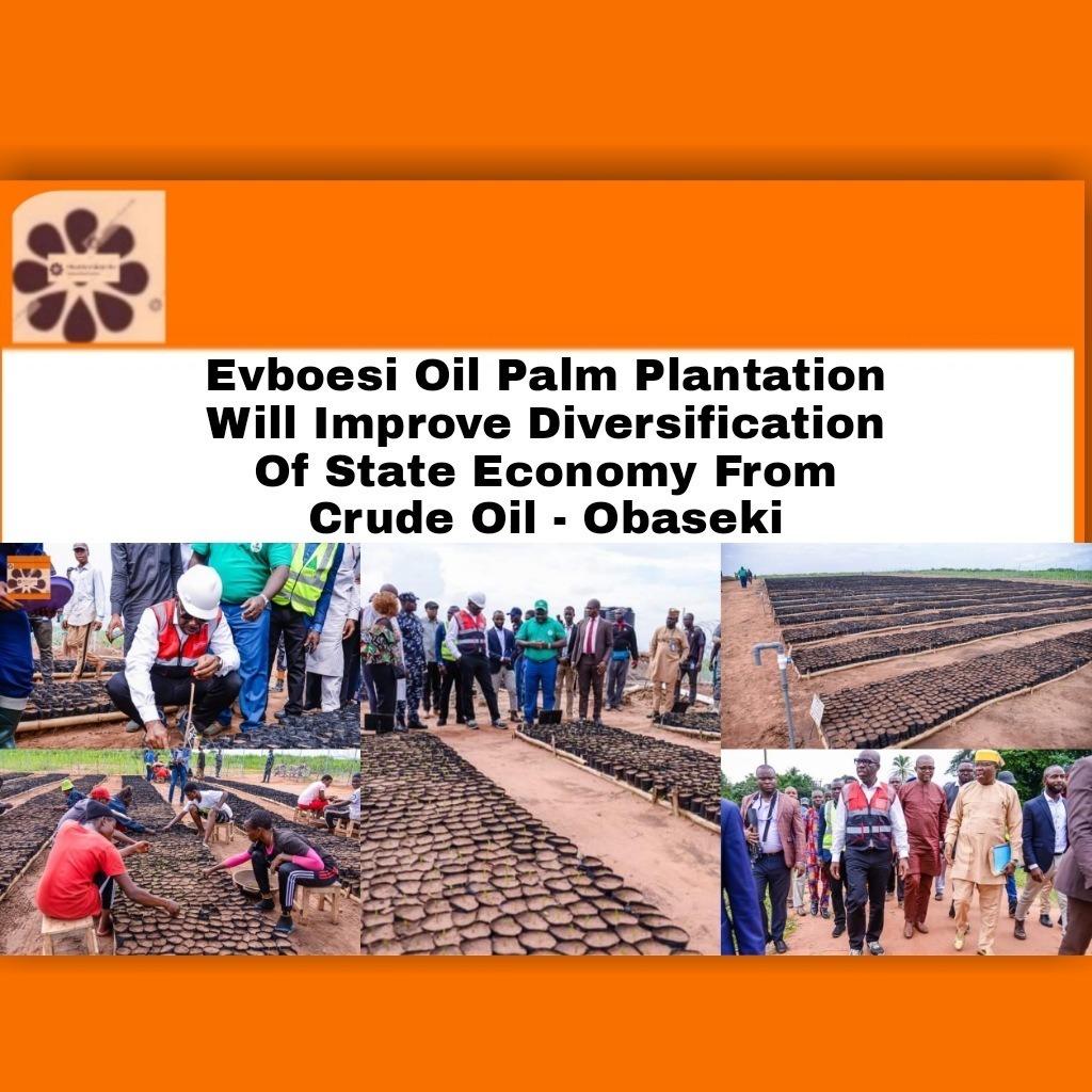 Evboesi Oil Palm Plantation Will Improve Diversification Of State Economy From Crude Oil – Obaseki