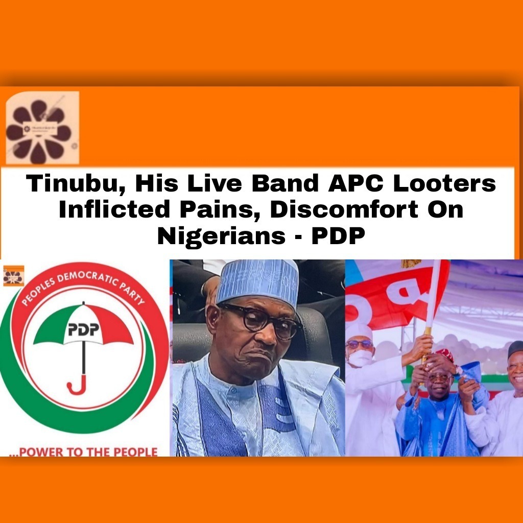 Tinubu, His Live Band APC Looters Inflicted Pains, Discomfort On Nigerians – PDP