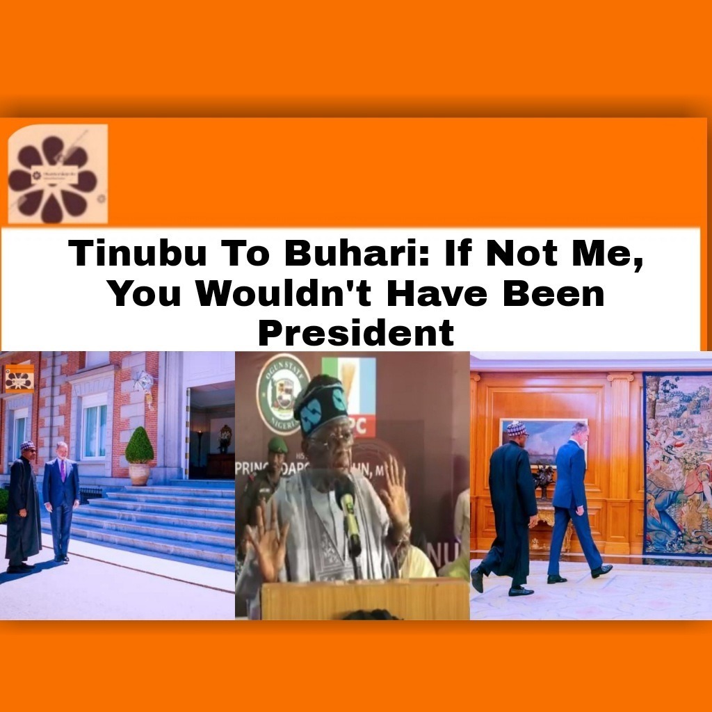 Tinubu To Buhari. If Not Me, You Wouldn’t Have Been President