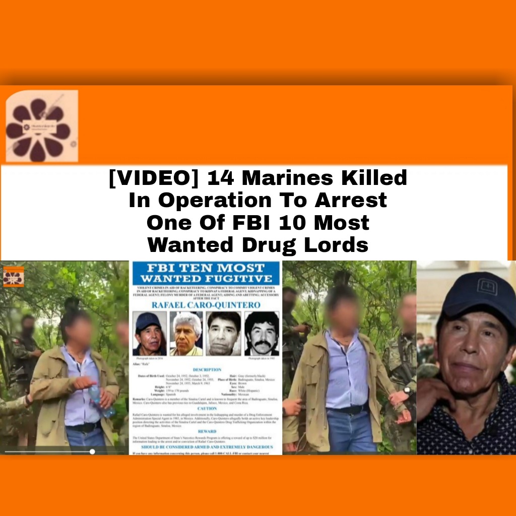 [VIDEO] 14 Marines Killed In Operation To Arrest One Of FBI 10 Most Wanted Drug Lords ~ OsazuwaAkonedo ######USA #Court #Crash #FBI #murder #President #Caro #DEA #Drug #Helicopter #Lord #Marines #Mexico #Quintero #Rafael #Sonora