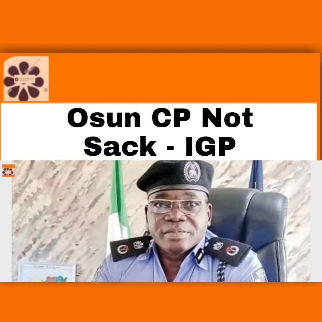 Osun CP Not Sack - IGP ~ OsazuwaAkonedo #CP #election #human #Igp #Nigeria #NigeriaPoliceForce #OsazuwaAkonedo #Osun #Police #security #state