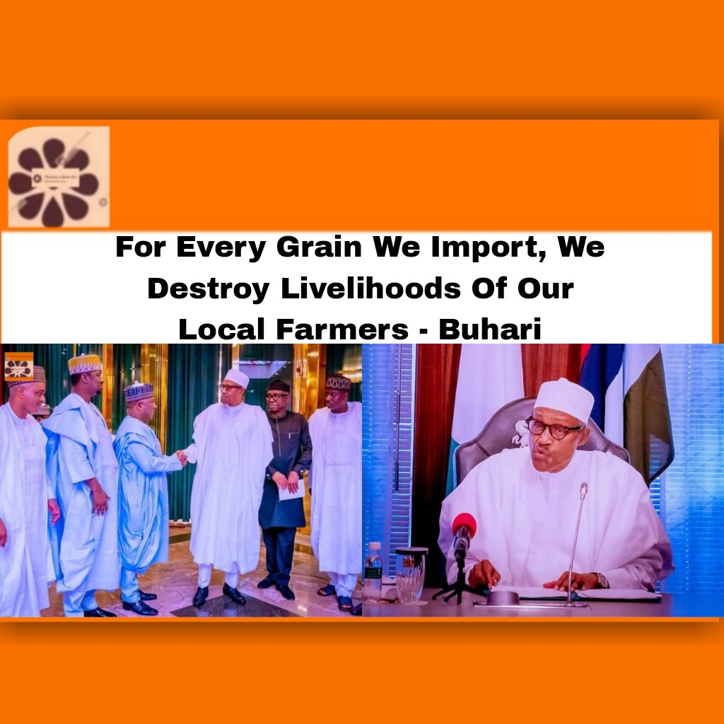 For Every Grain We Import, We Destroy Livelihoods Of Our Local Farmers - Buhari ~ OsazuwaAkonedo #Buhari #Food #job #Nigeria #security #BUA #Cement #Import #Muhammadu #OsazuwaAkonedo