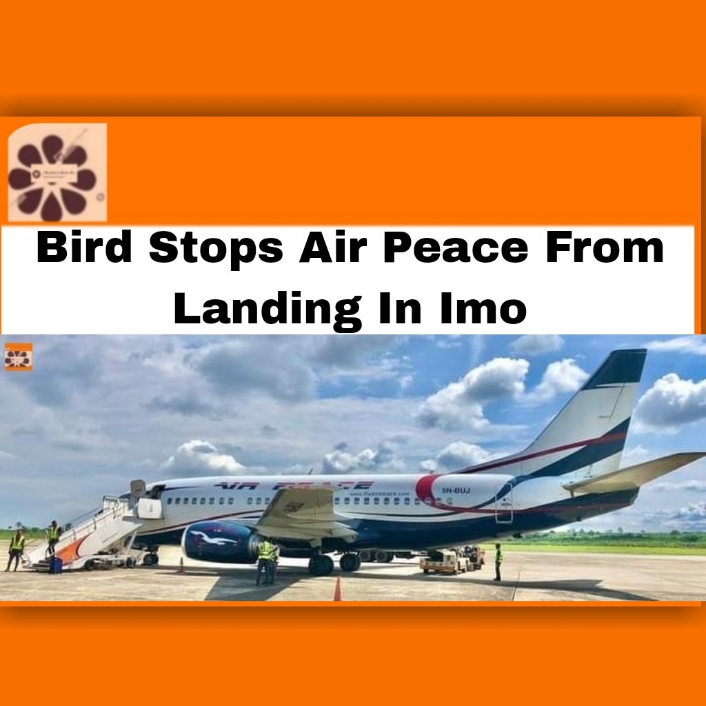 Bird Stops Air Peace From Landing In Imo