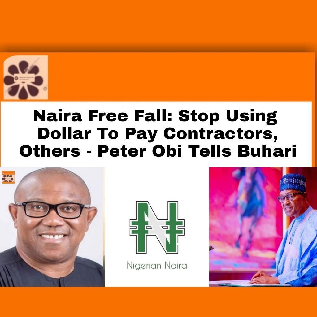 Naira Free Fall Stop Using  Dollar To Pay Contractors, Others – Peter Obi Tells Buhari