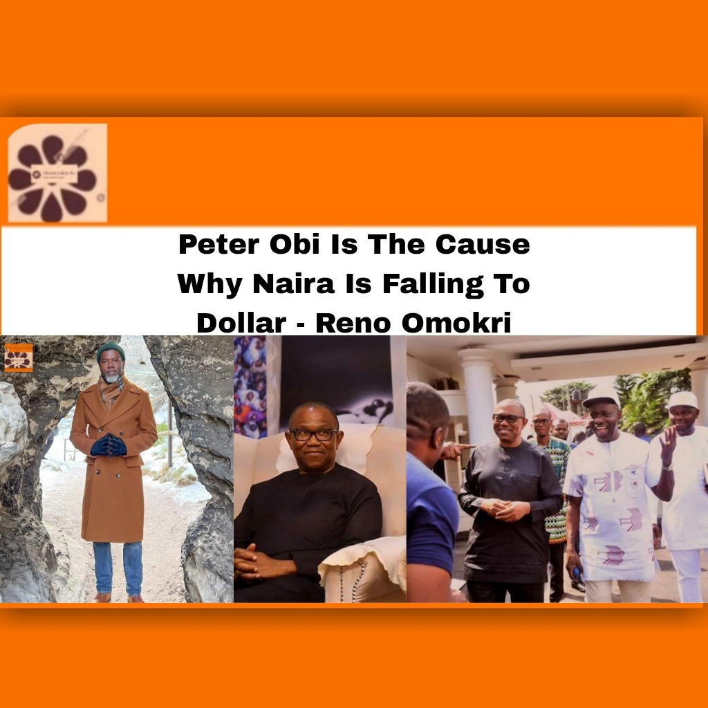 Peter Obi Is The Cause Why Naira Is Falling To Dollar – Reno Omokri