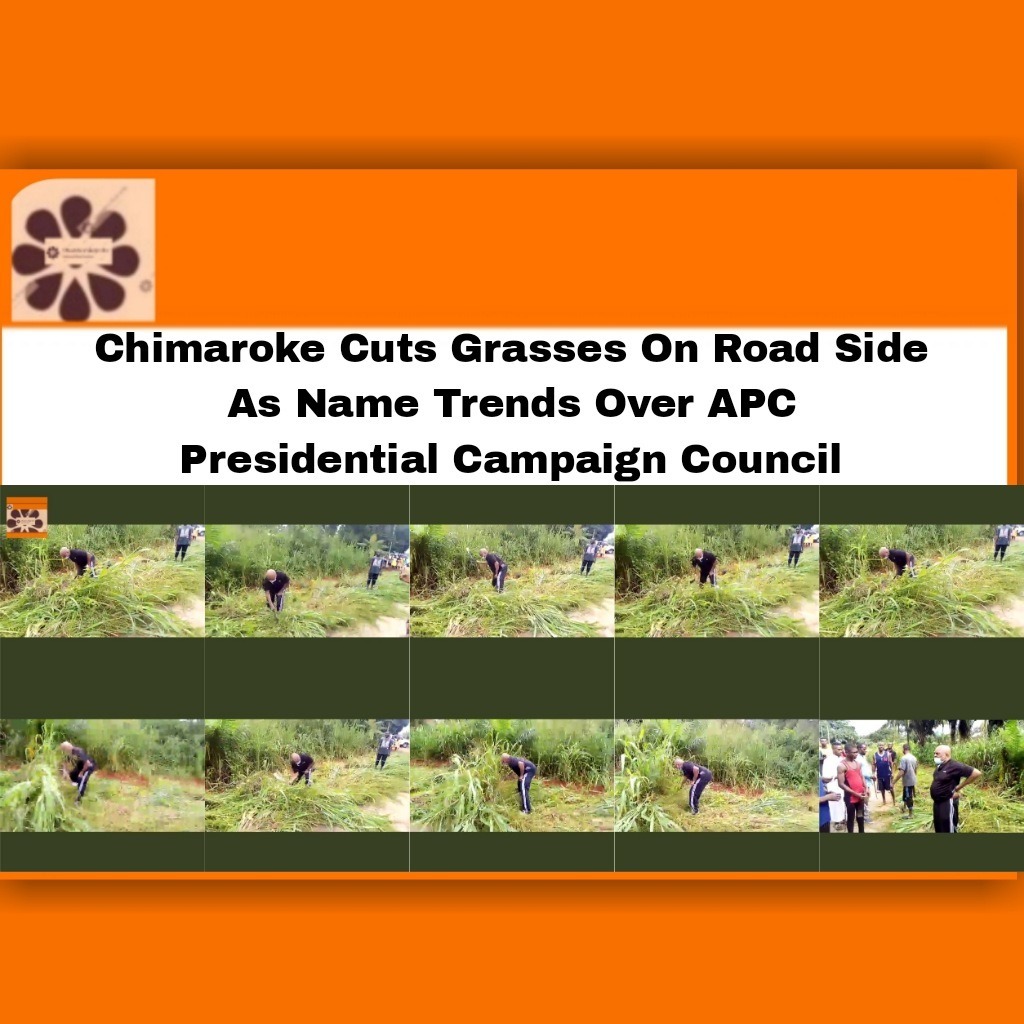 Chimaroke Cuts Grasses On Road Side As Name Trends Over APC Presidential Campaign Council