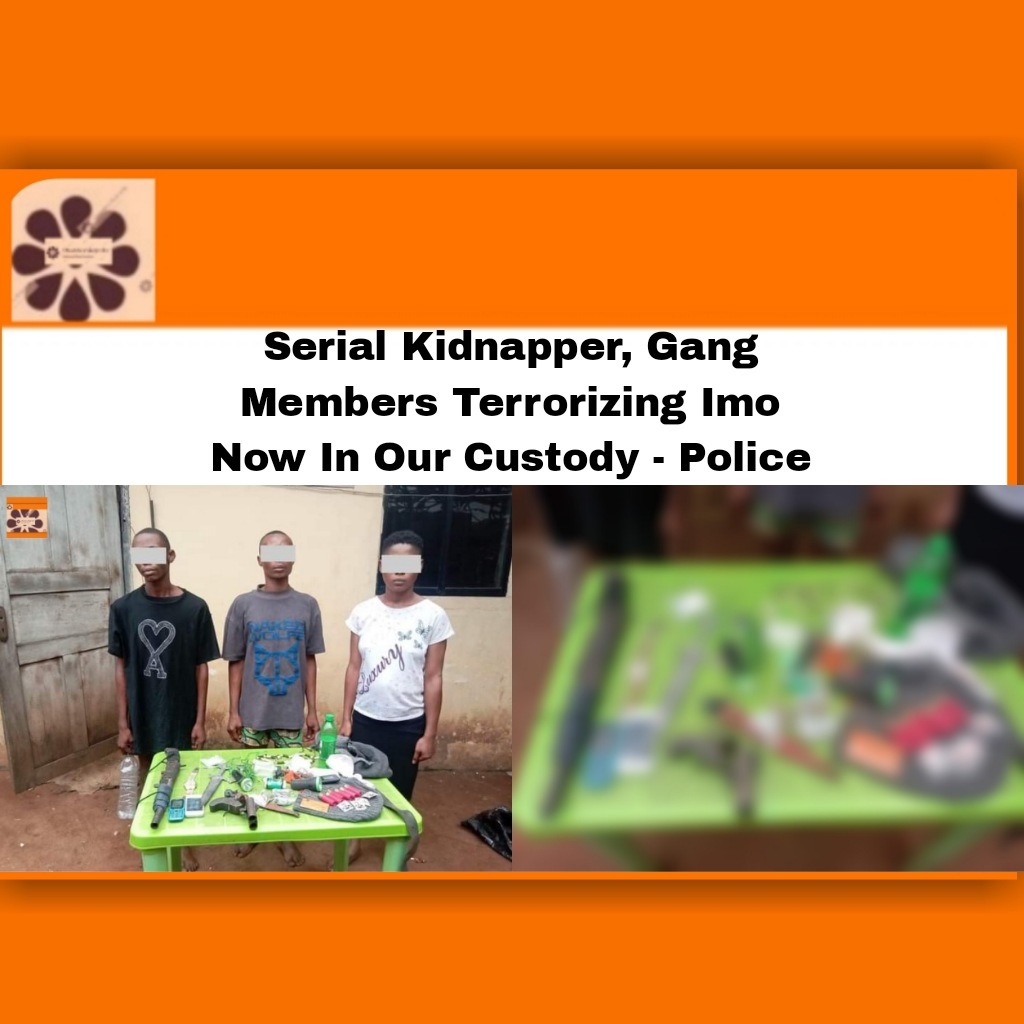 Serial Kidnapper, Gang Members Terrorizing Imo Now In Our Custody – Police