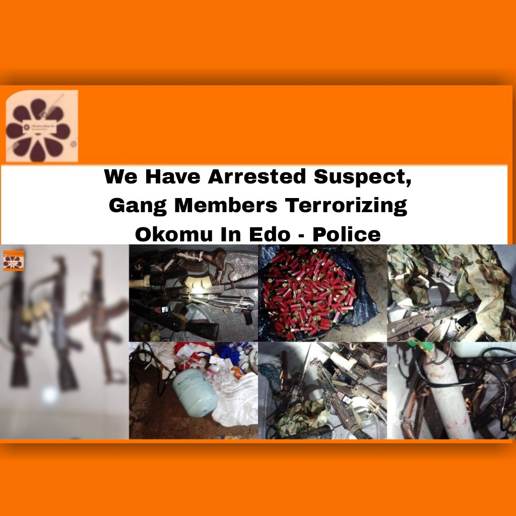 We Have Arrested Suspect, Gang Members Terrorizing Okomu In Edo – Police