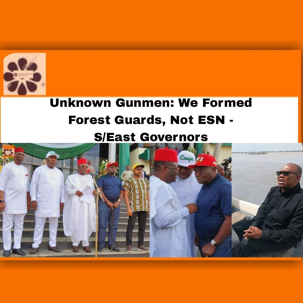 Unknown Gunmen: We Formed Forest Guards, Not ESN - S/East Governors
