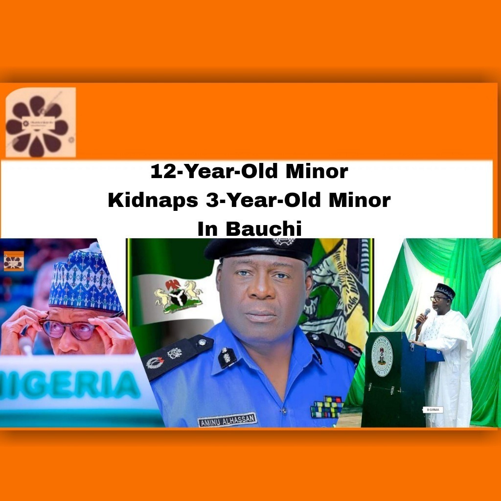 12-Year-Old Minor Kidnaps 3-Year-Old Minor In Bauchi