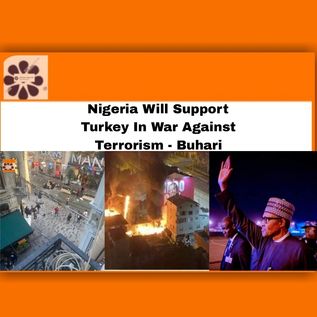 Nigeria Will Support Turkey In War Against Terrorism - Buhari