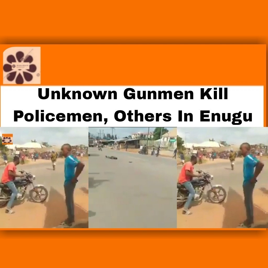 Unknown Gunmen Kill Policemen, Others In Enugu