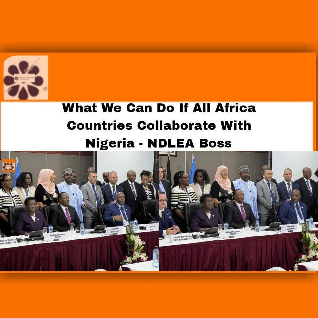 What We Can Do If All Africa Countries Collaborate With Nigeria - NDLEA Boss
