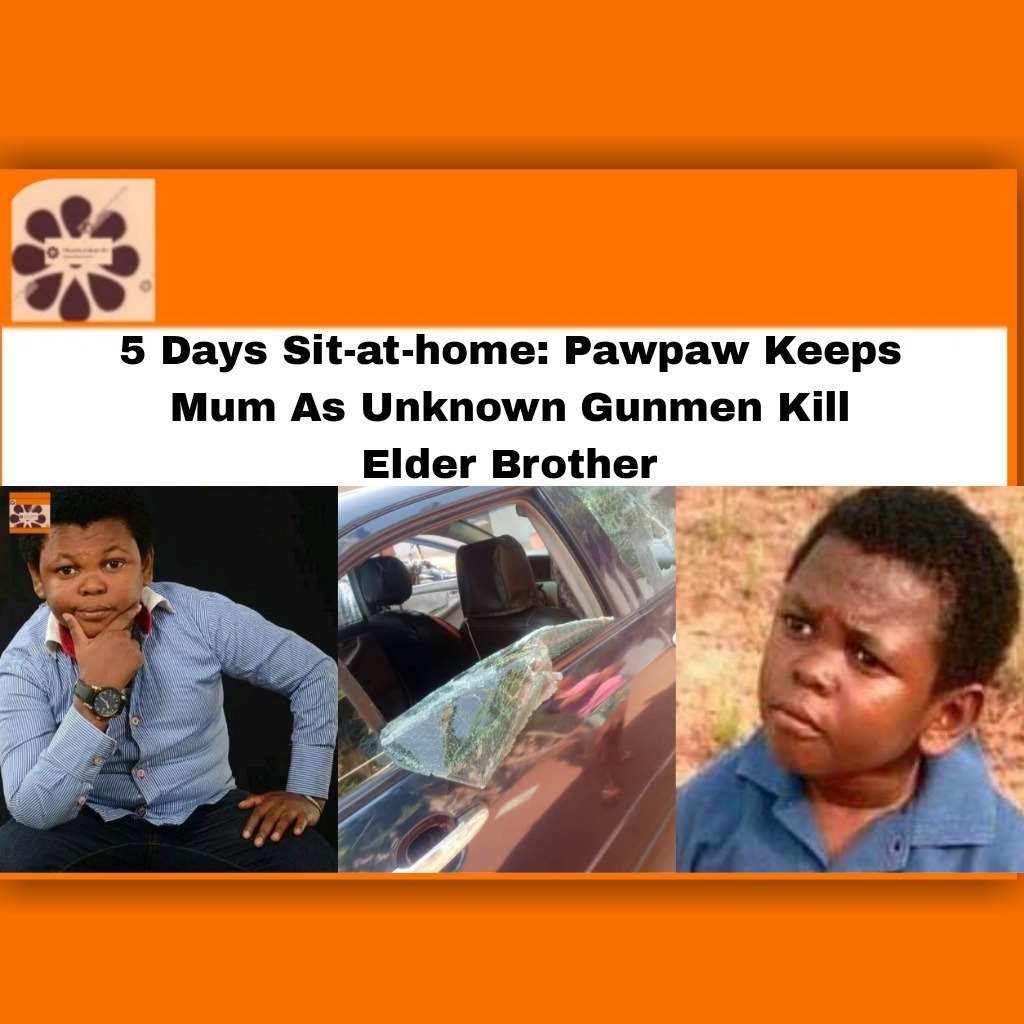 5 Days Sit-at-home: Pawpaw Keeps Mum As Unknown Gunmen Kill Elder Brother