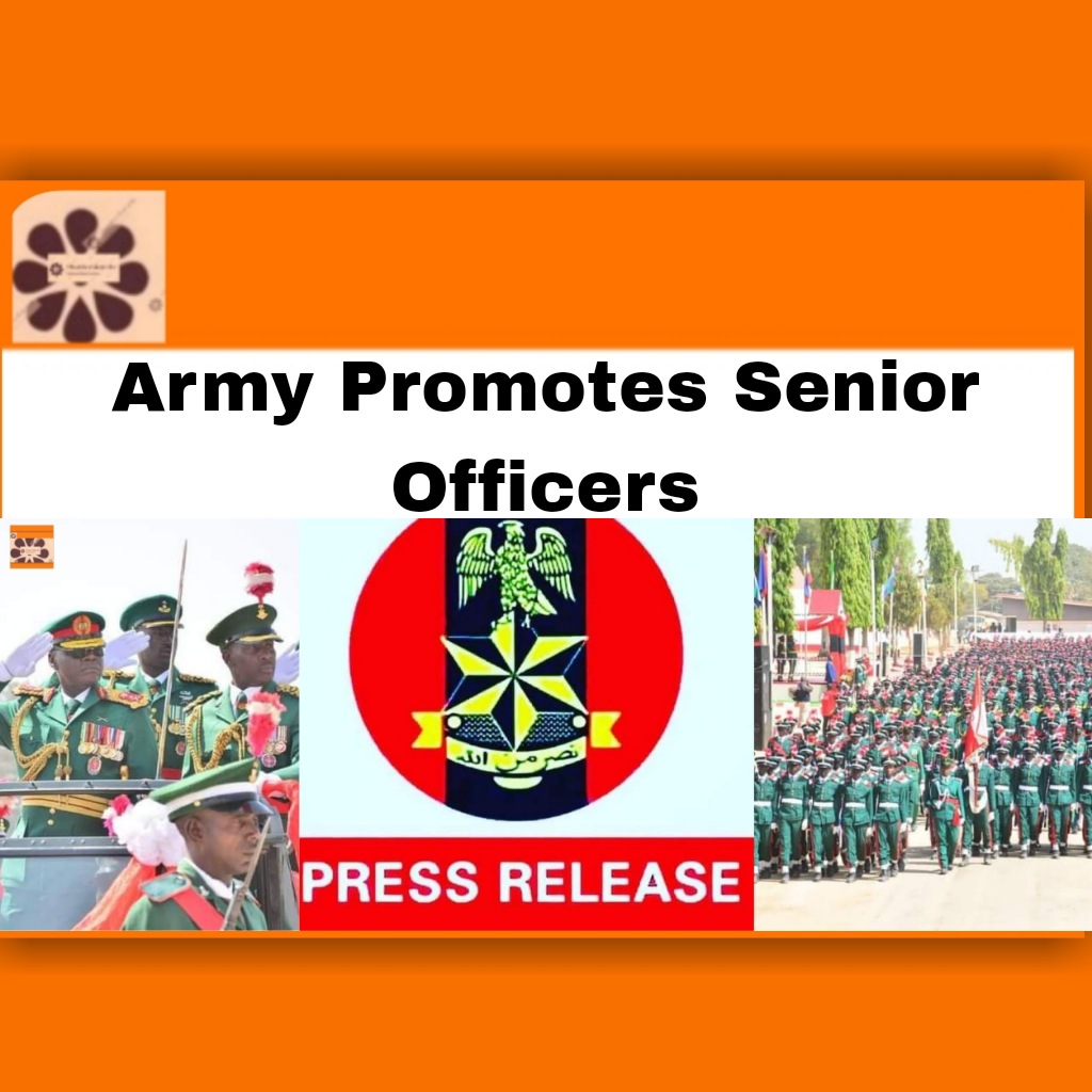 Army Promotes Senior Officers ~ OsazuwaAkonedo #army #Nigerian
