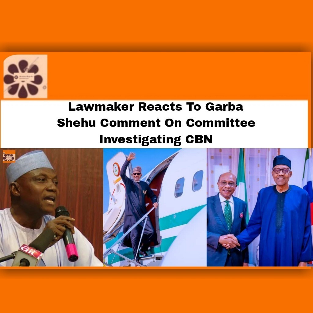 Lawmaker Reacts To Garba Shehu Comment On Committee Investigating CBN