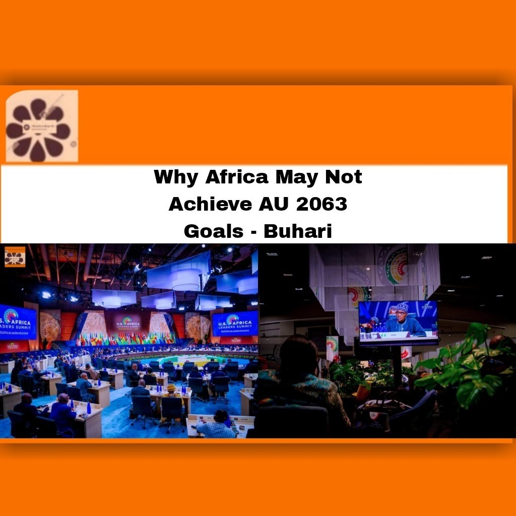 Why Africa May Not Achieve AU 2063 Goals - Buhari