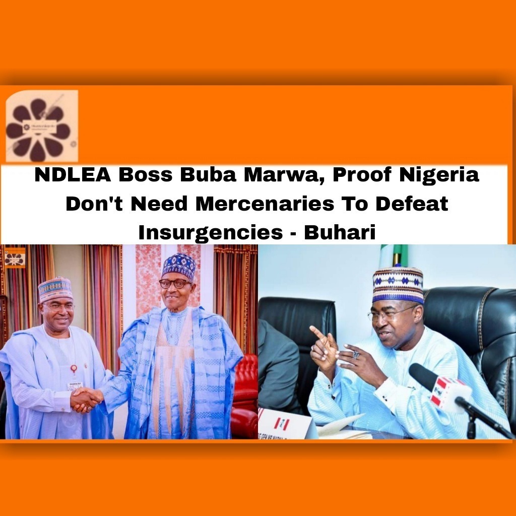 NDLEA Boss Buba Marwa, Proof Nigeria Don't Need Mercenaries To Defeat Insurgencies - Buhari