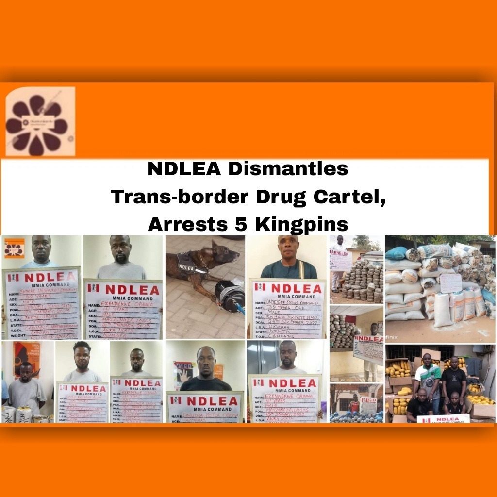 NDLEA Dismantles Trans-border Drug Cartel, Arrests 5 Kingpins