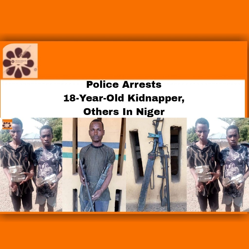 Police Arrests 18-Year-Old Kidnapper, Others In Niger