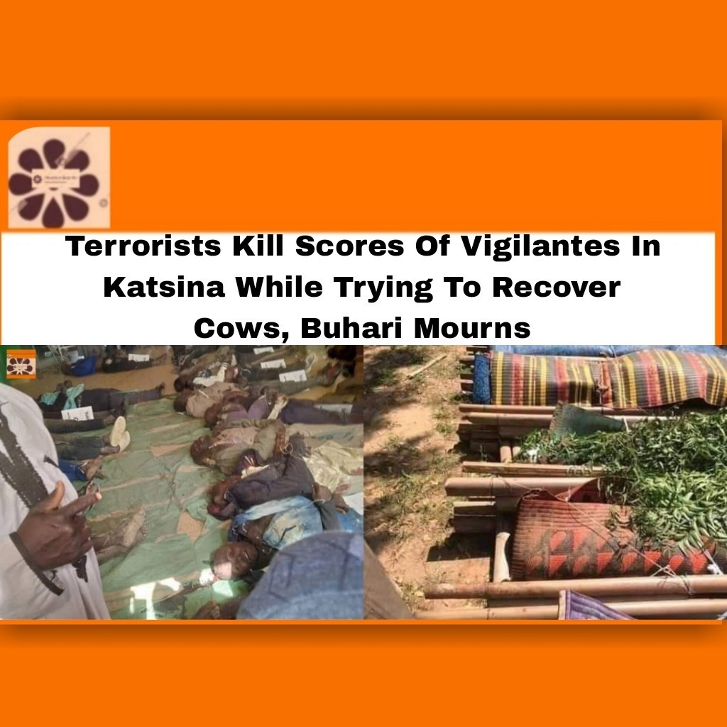 Terrorists Kill Scores Of Vigilantes In Katsina While Trying To Recover Cows, Buhari Mourns