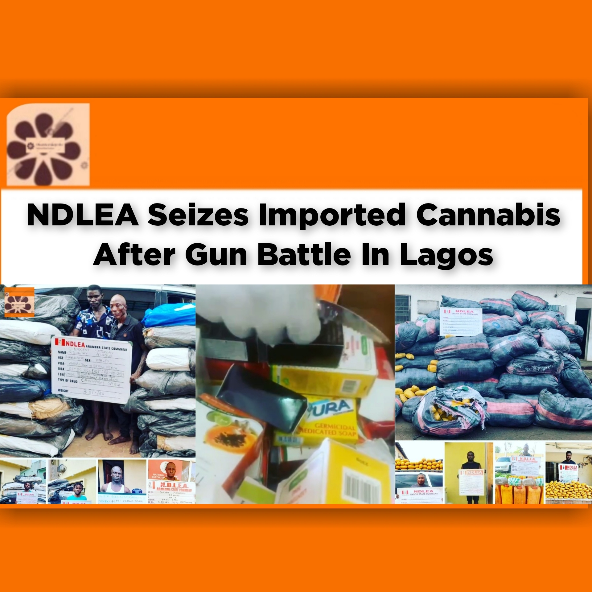 NDLEA Seizes Imported Cannabis After Gun Battle In Lagos