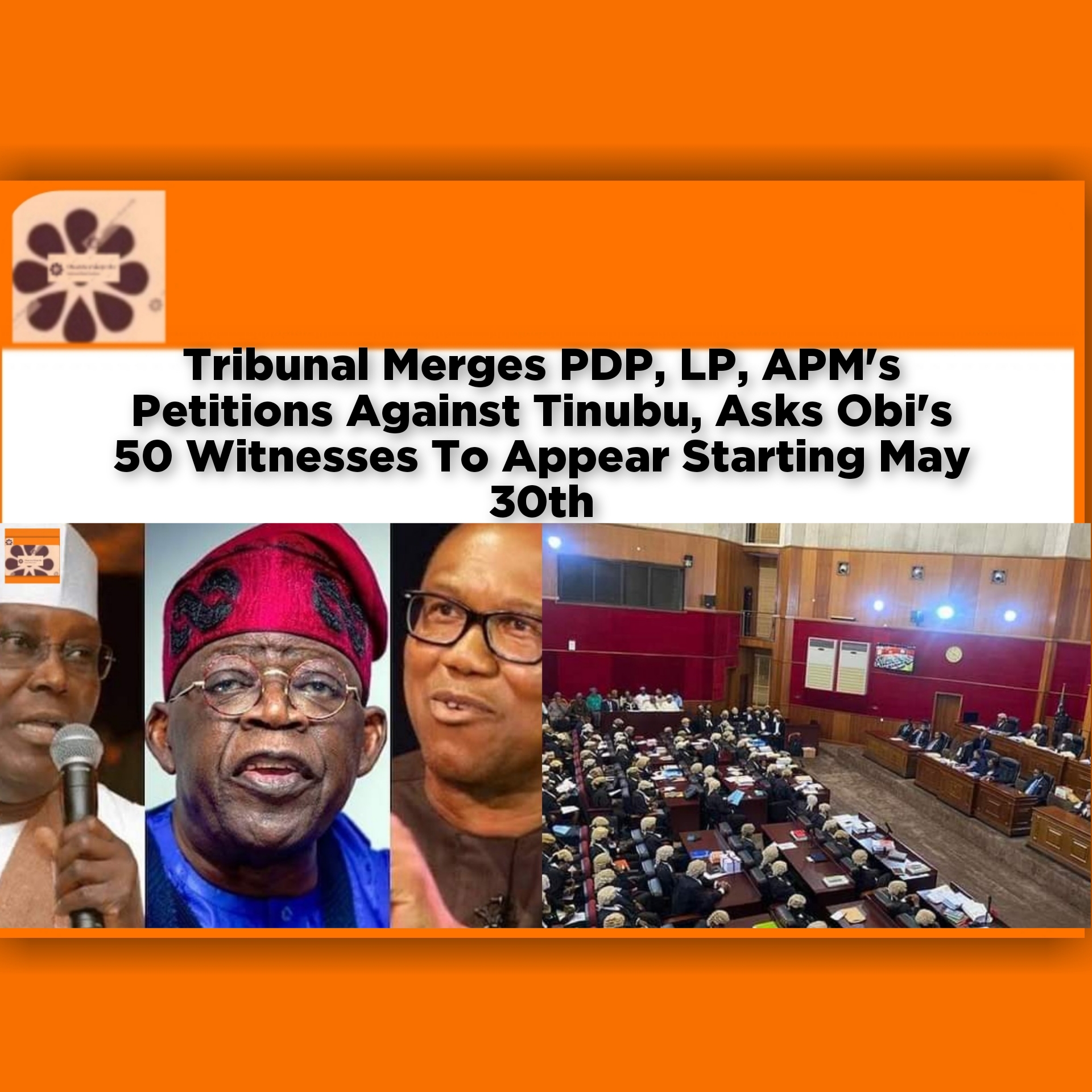Tribunal Merges PDP, LP, APM's Petitions Against Tinubu, Asks Obi's 50 Witnesses To Appear Starting May 30th ~ OsazuwaAkonedo Issues