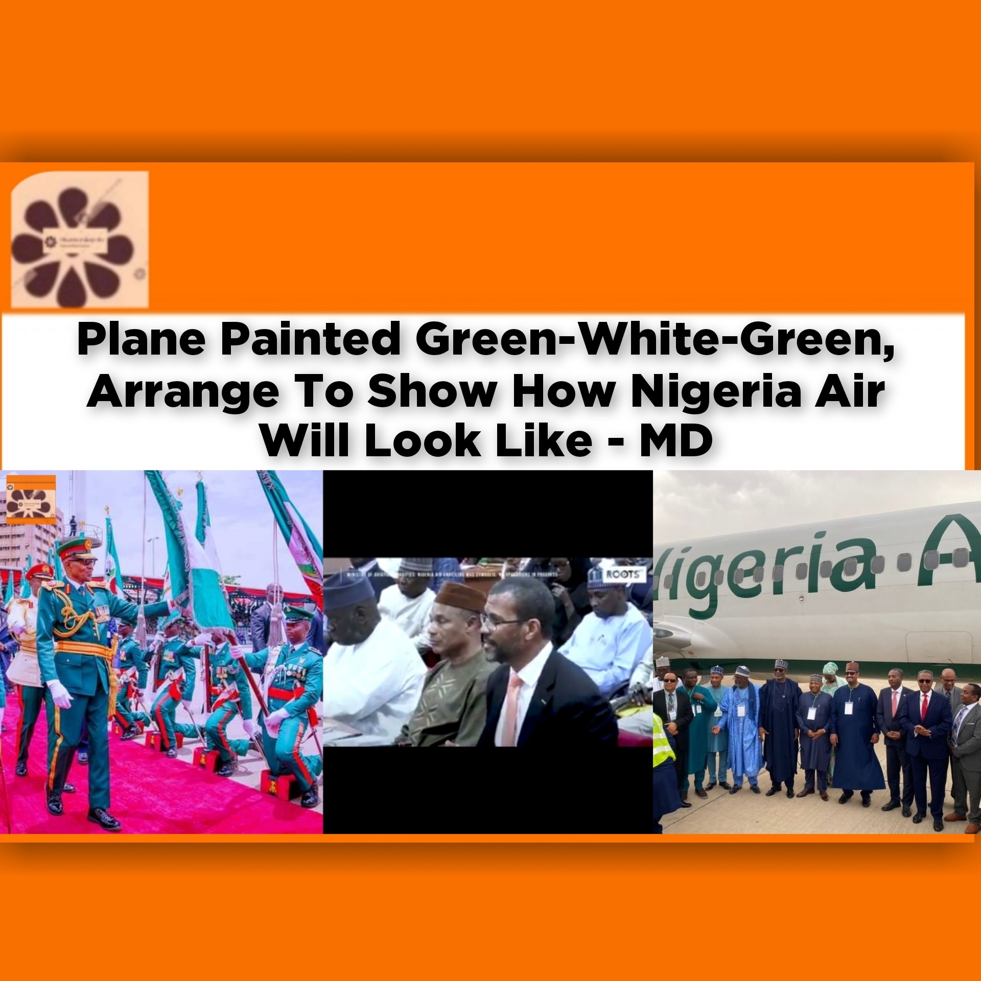 Plane Painted Green-White-Green, Arrange To Show How Nigeria Air Will Look Like - MD