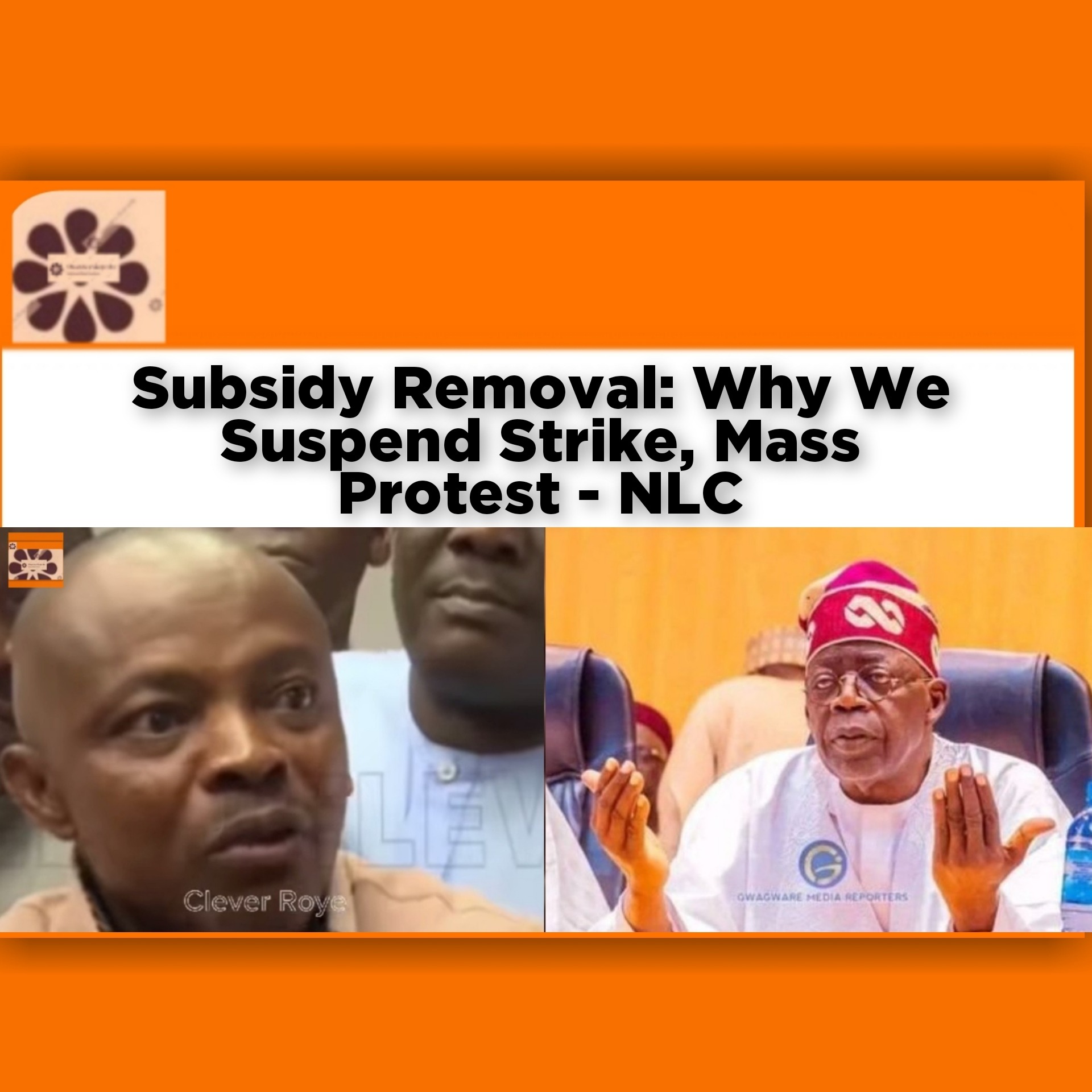 Subsidy Removal: Why We Suspend Strike, Mass Protest - NLC