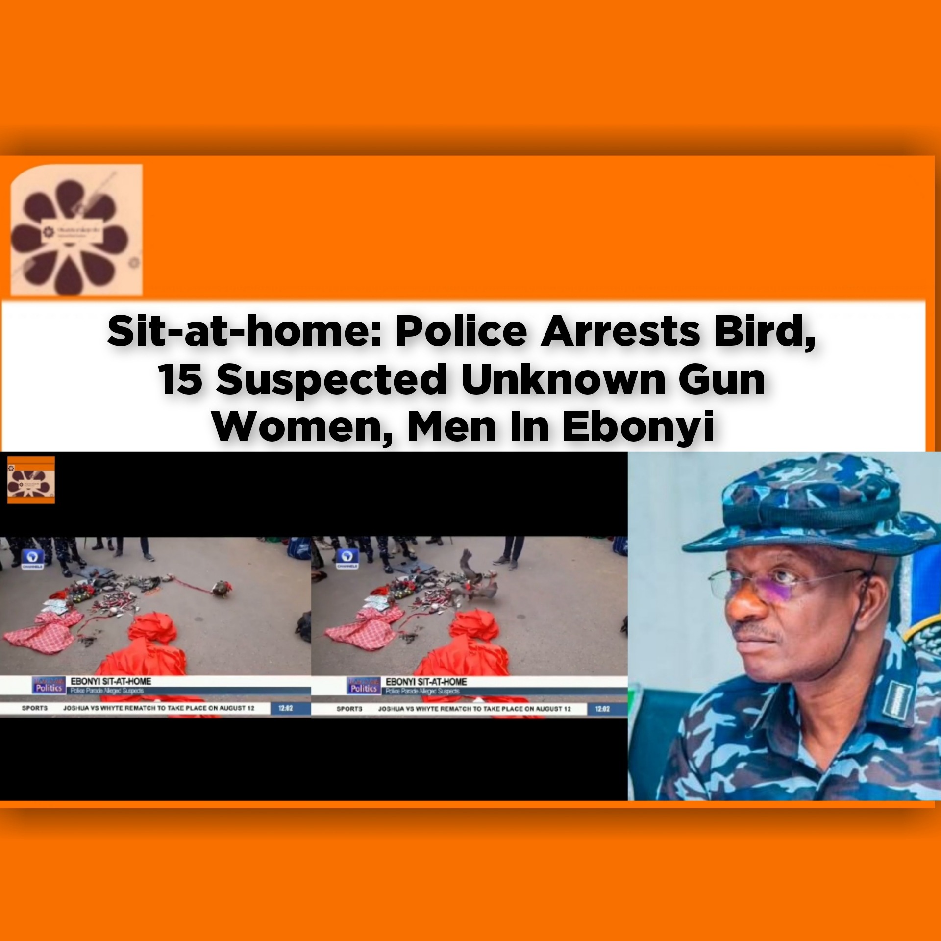 Sit-at-home: Police Arrests Bird, 15 Suspected Unknown Gun Women, Men In Ebonyi
