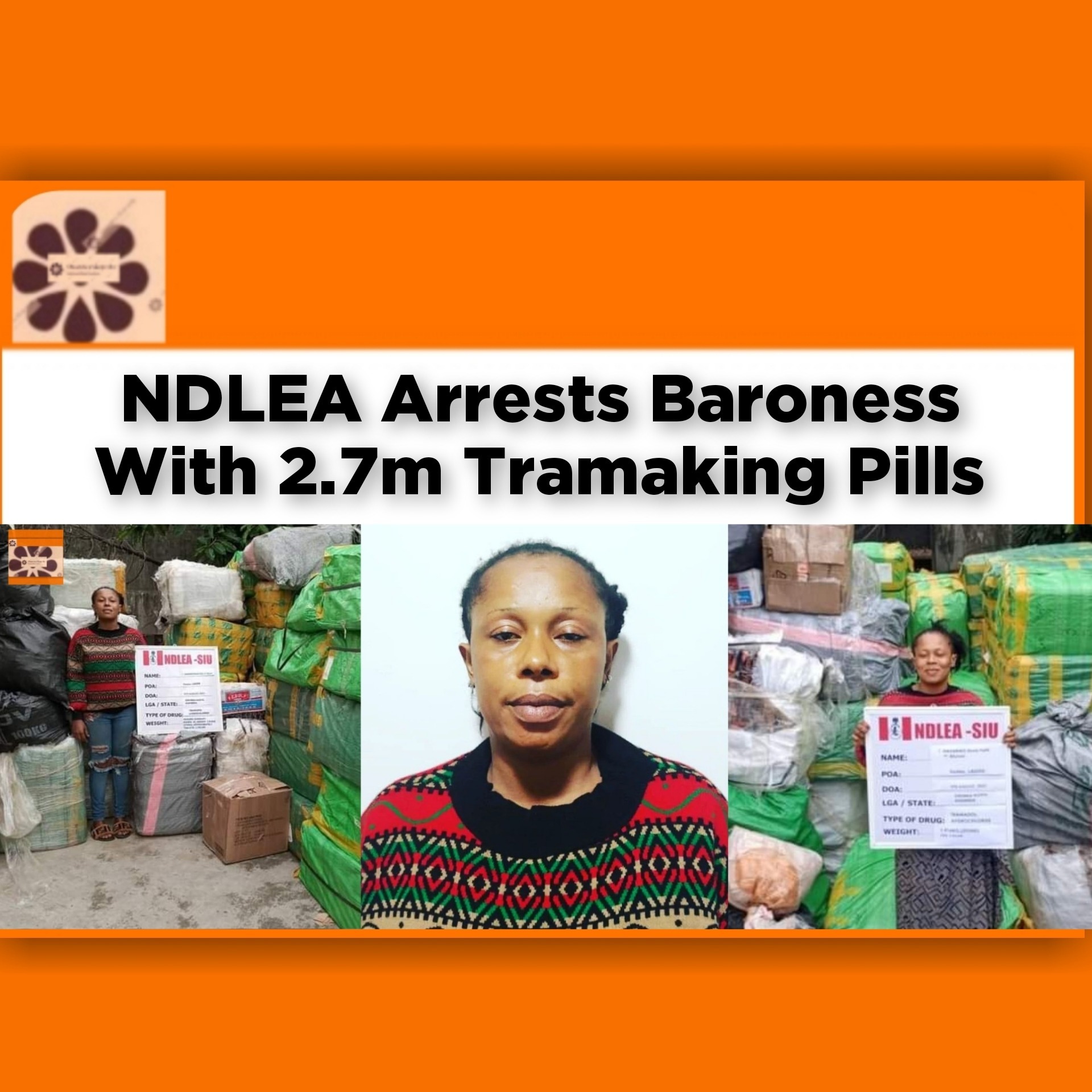 NDLEA Arrests Baroness With 2.7m Tramaking Pills