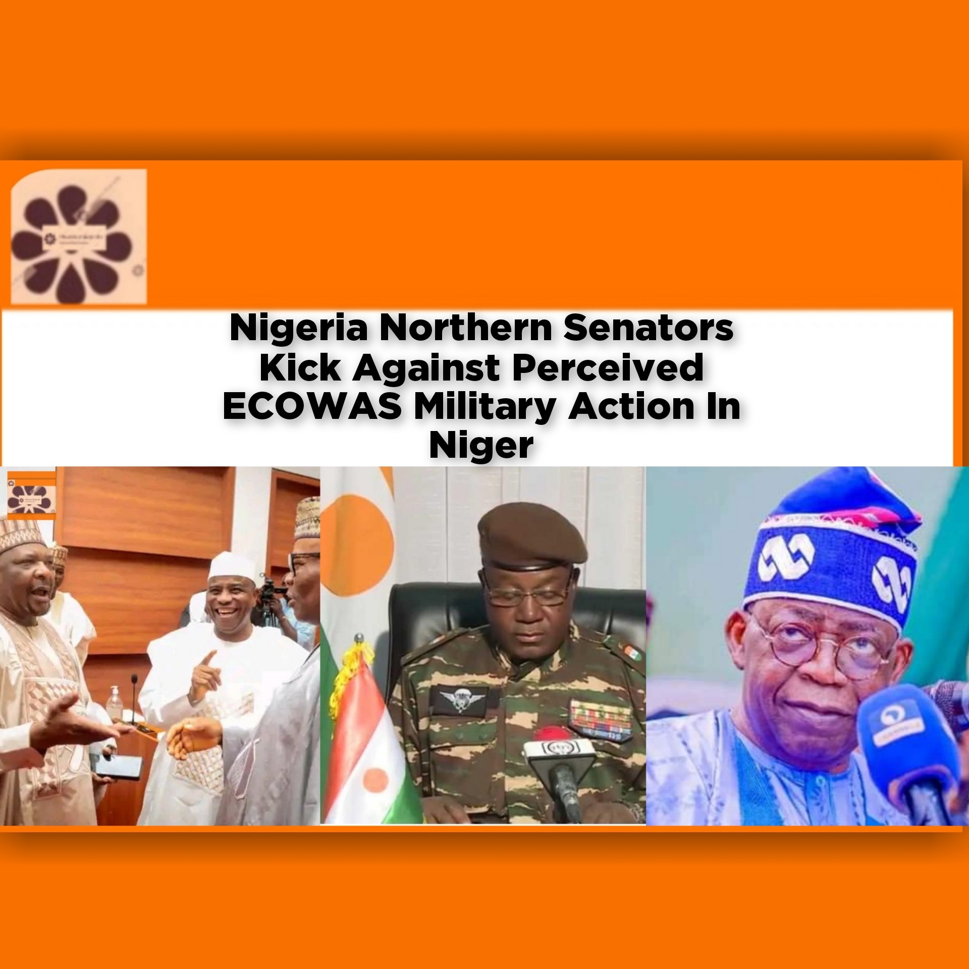 Nigeria Northern Senators Kick Against Perceived ECOWAS Military Action In Niger