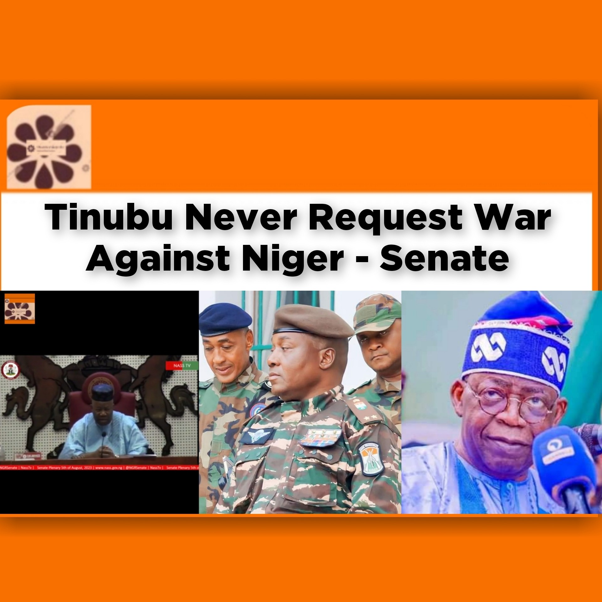 Tinubu Never Request War Against Niger - Senate